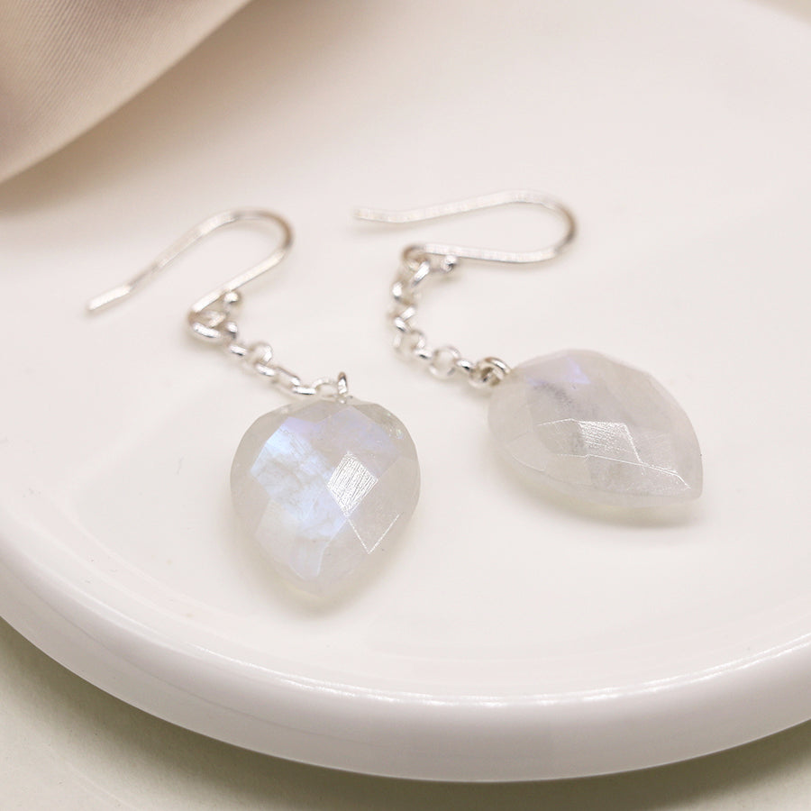 Pair of silver earrings with heart-shaped gemstones on a white dish