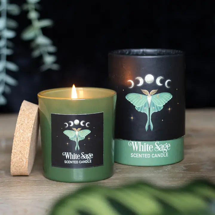 Green scented candle with a moth design and cork lid on a wooden surface.