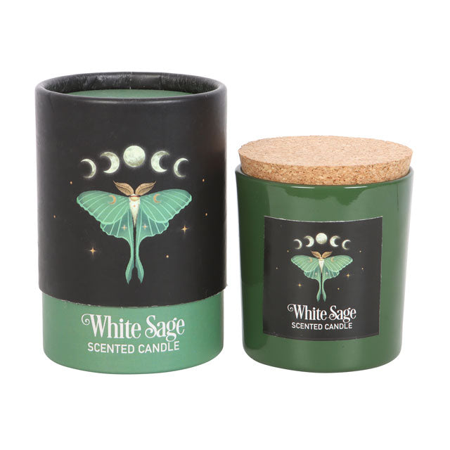 Green candle with cork lid and black cylindrical container featuring moon phases and a butterfly design.