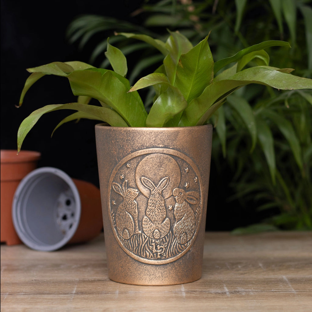 Earth and Elements Jewellery

https://www.earthandelements.co.uk › products › moon-shadows-3-gazing-hares-bronze-terracotta-plant-pot