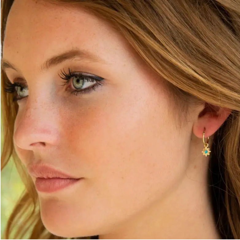 Mini hoop 2025 star earrings